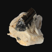 Dark Elbaite 17mm crystal on Feldspar & Mica matrix 25mm 49.2ct  9.8g Rocks and Things