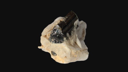 Dark Elbaite 17mm crystal on Feldspar & Mica matrix 25mm 49.2ct  9.8g Rocks and Things