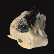 Dark Elbaite 17mm crystal on Feldspar & Mica matrix 25mm 49.2ct  9.8g Rocks and Things