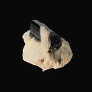 Dark Elbaite 17mm crystal on Feldspar & Mica matrix 25mm 49.2ct  9.8g Rocks and Things