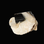 Dark Elbaite 17mm crystal on Feldspar & Mica matrix 25mm 49.2ct  9.8g Rocks and Things
