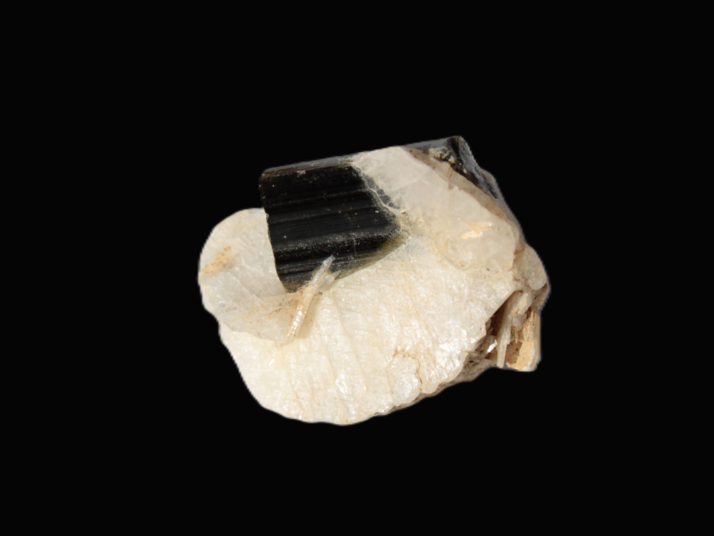 Dark Elbaite 17mm crystal on Feldspar & Mica matrix 25mm 49.2ct  9.8g Rocks and Things