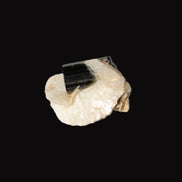 Dark Elbaite 17mm crystal on Feldspar & Mica matrix 25mm 49.2ct  9.8g Rocks and Things