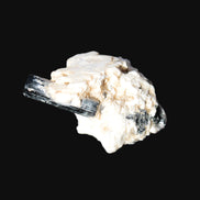 Rainbow Black Tourmaline 20mm crystal on Elbaite, Feldspar and Mica in sunlight - Rocks and Things Store