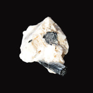 Rainbow Black Tourmaline 20mm crystal on Elbaite, Feldspar and Mica in sunlight - Rocks and Things Store