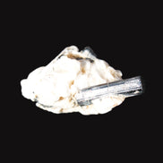 Rainbow Black Tourmaline 20mm crystal on Elbaite, Feldspar and Mica in sunlight - Rocks and Things Store