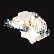 Rainbow Black Tourmaline 20mm crystal on Elbaite, Feldspar and Mica in sunlight - Rocks and Things Store