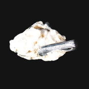 Rainbow Black Tourmaline 20mm crystal on Elbaite, Feldspar and Mica in sunlight - Rocks and Things Store