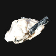 Rainbow Black Tourmaline 20mm crystal on Elbaite, Feldspar and Mica in sunlight - Rocks and Things Store