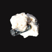 Rainbow Black Tourmaline 20mm crystal on Elbaite, Feldspar and Mica in sunlight - Rocks and Things Store