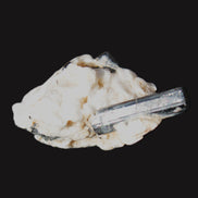 Rainbow Black Tourmaline 20mm crystal on Elbaite, Feldspar and Mica in sunlight - Rocks and Things Store