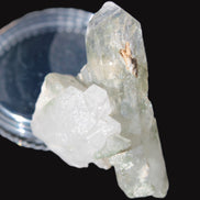 Quartz crystal with Chlorite 45mm with crossed Calcite from Skardu, Pakistan 101ct 20.2g Rocks and Things