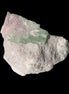 Watermelon Tourmaline crystal 25mm on matrix from Afghanistan 162.9ct 32.5g - Rocks and Things Store