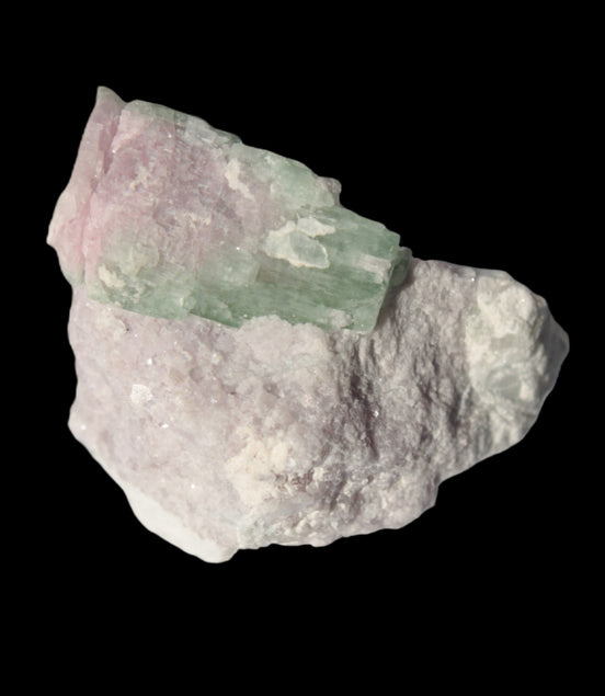 Watermelon Tourmaline crystal 25mm on matrix from Afghanistan 162.9ct 32.5g - Rocks and Things Store