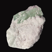 Watermelon Tourmaline crystal 25mm on matrix from Afghanistan 162.9ct 32.5g - Rocks and Things Store