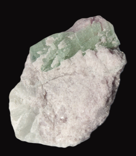 Watermelon Tourmaline crystal 25mm on matrix from Afghanistan 162.9ct 32.5g - Rocks and Things Store