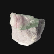 Watermelon Tourmaline crystal 25mm on matrix from Afghanistan 162.9ct 32.5g Rocks and Things