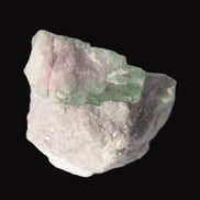 Watermelon Tourmaline crystal 25mm on matrix from Afghanistan 162.9ct 32.5g Rocks and Things