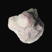 Watermelon Tourmaline crystal 25mm on matrix from Afghanistan 162.9ct 32.5g Rocks and Things