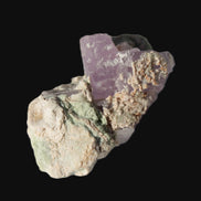 Pink Kunzite crystal with Lepidolite in matrix 75.6ct  15.1g Rocks and Things