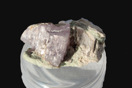 Pink Kunzite crystal with Lepidolite in matrix 75.6ct  15.1g Rocks and Things