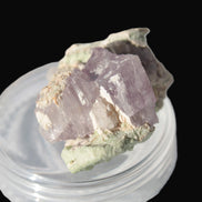 Pink Kunzite crystal with Lepidolite in matrix 75.6ct  15.1g Rocks and Things