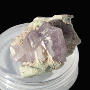 Pink Kunzite crystal with Lepidolite in matrix 75.6ct  15.1g Rocks and Things