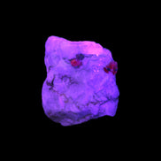 Ruby UV reactive with Muscovite in Marble 255ct 50.9g in UV light - Rocks and Things Store