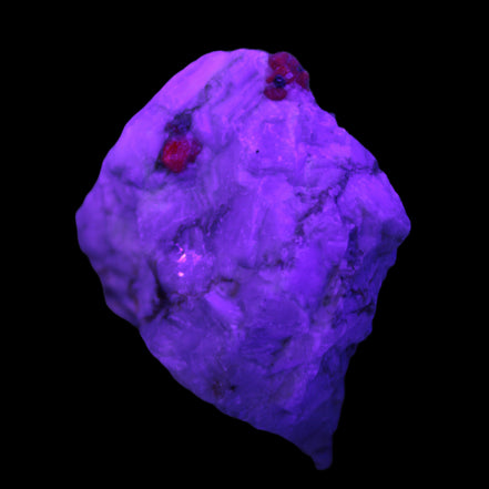 Ruby UV reactive with Muscovite in Marble 255ct 50.9g in UV light - Rocks and Things Store