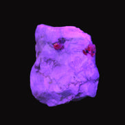Ruby UV reactive with Muscovite in Marble 255ct 50.9g in UV light - Rocks and Things Store