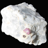 Ruby UV reactive with Muscovite in Marble 343ct 68.6g in sunlight - Rocks and Things Store