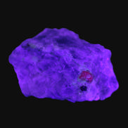 Ruby UV reactive with Muscovite in Marble 343ct 68.6g in UV light - Rocks and Things Store
