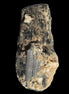 Black Tourmaline crystal with Feldspar & Mica 55mm 250.7ct  50.2g - Rocks and Things Store