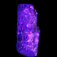 Black Tourmaline crystal with Feldspar & Mica 55mm 250.7ct  50.2g in UV light - Rocks and Things Store