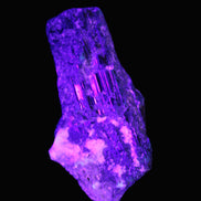 Black Tourmaline crystal with Feldspar & Mica 55mm 250.7ct  50.2g in UV light - Rocks and Things Store