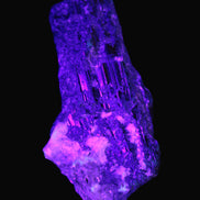 Black Tourmaline crystal with Feldspar & Mica 55mm 250.7ct  50.2g in UV light - Rocks and Things Store