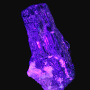 Black Tourmaline crystal with Feldspar & Mica 55mm 250.7ct  50.2g in UV light - Rocks and Things Store