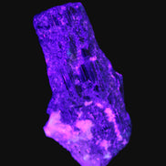 Black Tourmaline crystal with Feldspar & Mica 55mm 250.7ct  50.2g in UV light - Rocks and Things Store