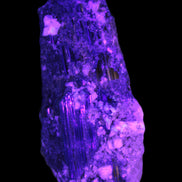 Black Tourmaline crystal with Feldspar & Mica 55mm 250.7ct  50.2g in UV light - Rocks and Things Store