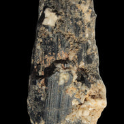 Black Tourmaline crystal with Feldspar & Mica 55mm 250.7ct  50.2g - Rocks and Things Store