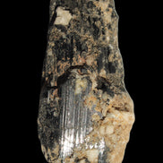 Black Tourmaline crystal with Feldspar & Mica 55mm 250.7ct  50.2g in sunlight - Rocks and Things Store