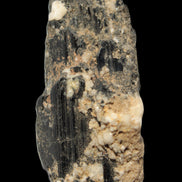 Black Tourmaline crystal with Feldspar & Mica 55mm 250.7ct  50.2g in sunlight - Rocks and Things Store