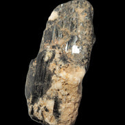 Black Tourmaline crystal with Feldspar & Mica 55mm 250.7ct  50.2g in sunlight - Rocks and Things Store