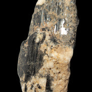 Black Tourmaline crystal with Feldspar & Mica 55mm 250.7ct  50.2g in sunlight - Rocks and Things Store