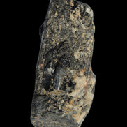 Black Tourmaline crystal with Feldspar & Mica 55mm 250.7ct  50.2g in sunlight - Rocks and Things Store