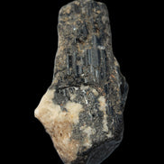 Black Tourmaline crystal with Feldspar & Mica 55mm 250.7ct  50.2g in sunlight - Rocks and Things Store