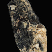 Black Tourmaline crystal with Feldspar & Mica 55mm 250.7ct  50.2g in sunlight - Rocks and Things Store