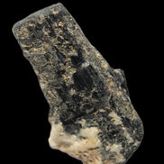 Black Tourmaline crystal with Feldspar & Mica 55mm 250.7ct  50.2g in slight - Rocks and Things Storen
