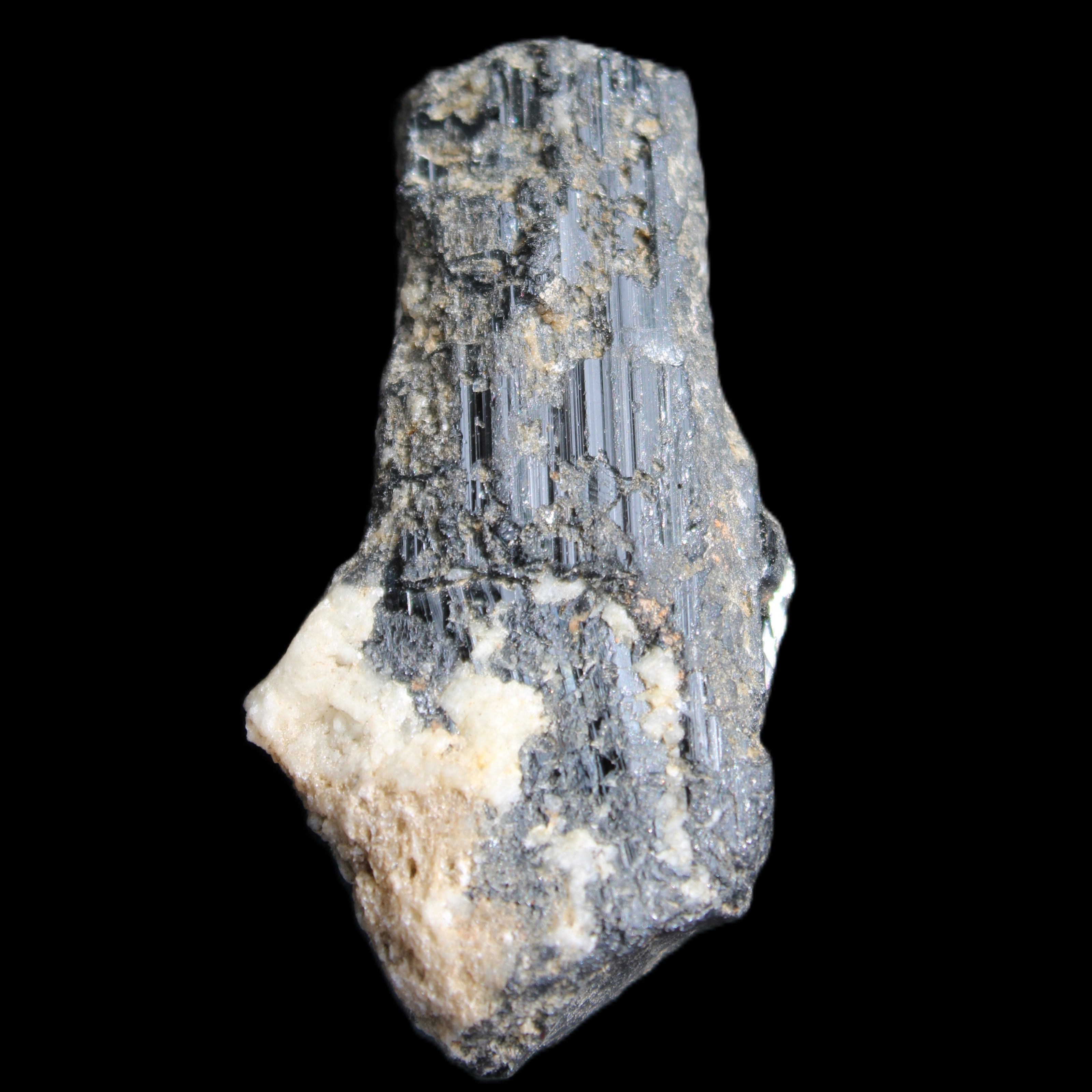 Black Tourmaline crystal with Feldspar & Mica 55mm 250.7ct  50.2g in sunlight - Rocks and Things Store