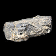 Black Tourmaline crystal with Feldspar & Mica 55mm 250.7ct  50.2g in sunlight - Rocks and Things Store